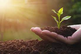 AmanTha67156814's tweet photo. Soil Health Card scheme boosts Indian agriculture, reducing costs and increasing productivity by 5-6%. Farmers witness income rise up to Rs 30,000 per acre.
#Kashmir_Is_India #ProsperousKashmir #AllRoundDevelopment https://t.co/qyAB8Ygs8R