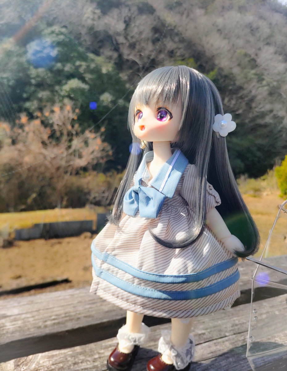 ⑅◡̈*♡⭐︎ポメ子⭐︎さま⑅◡̈*♡専用 ♡♡♡わんだー玉子🕖️♣️🐿️🐣 on X