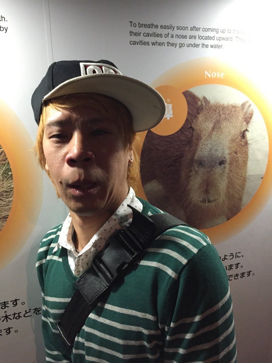 たびぐらし -Journey Life- tweet media