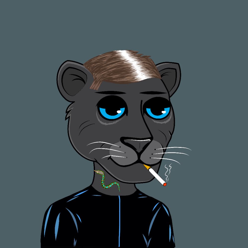 Cool Jaguar Social Club tweet media