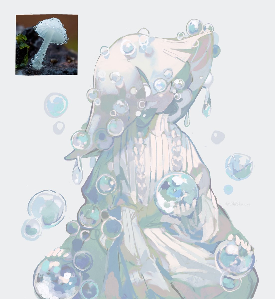 ShiShroom tweet media