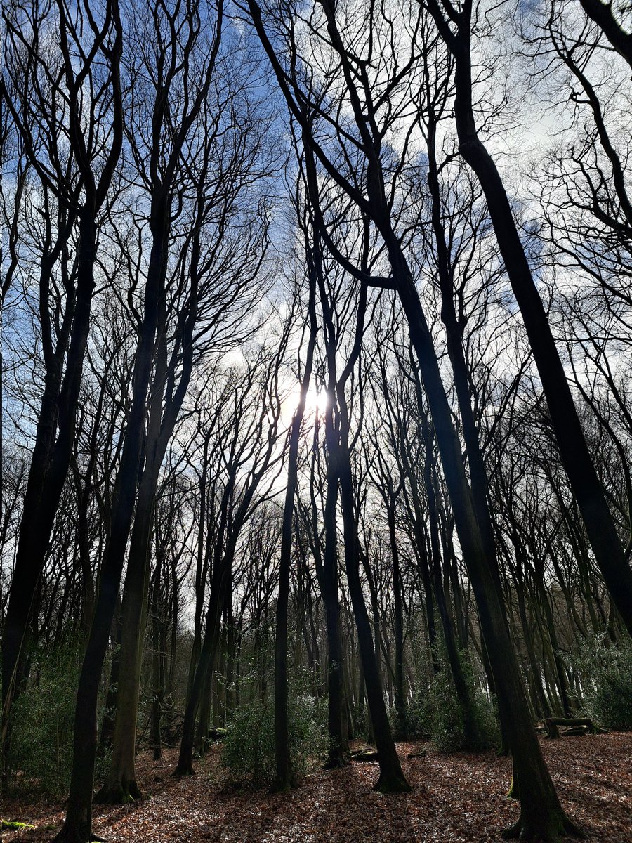 Catherine Manning 💙 tweet media