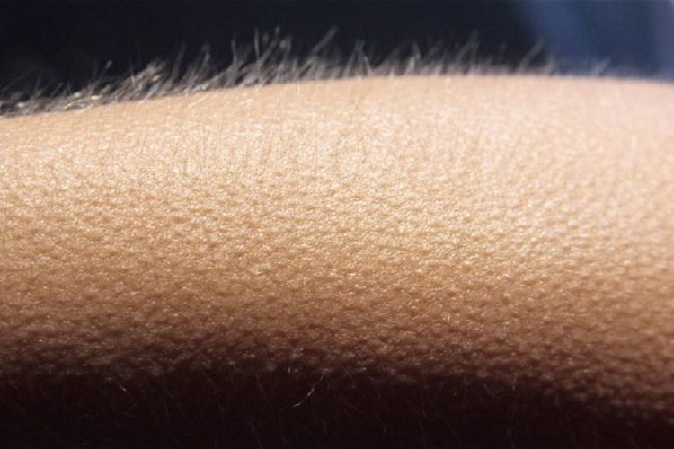 Kalimat paling merinding gak sih?