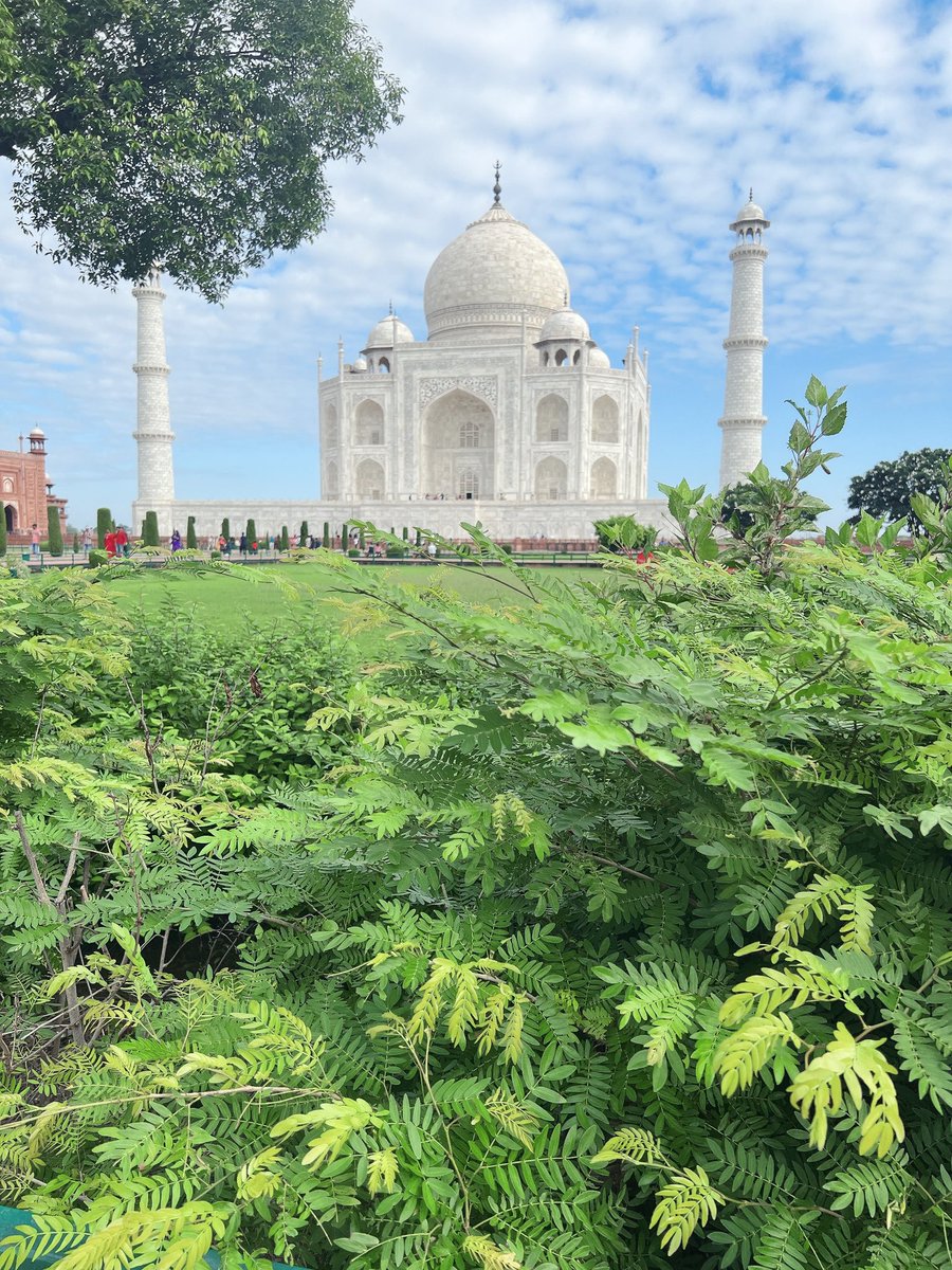 Traaaveler73's tweet photo. @インド🇮🇳

インドのタージマハル🕌
ここは神秘的✨

#インド
#タージマハル
#旅好きとつながりたい https://t.co/h0aOM6bMDk