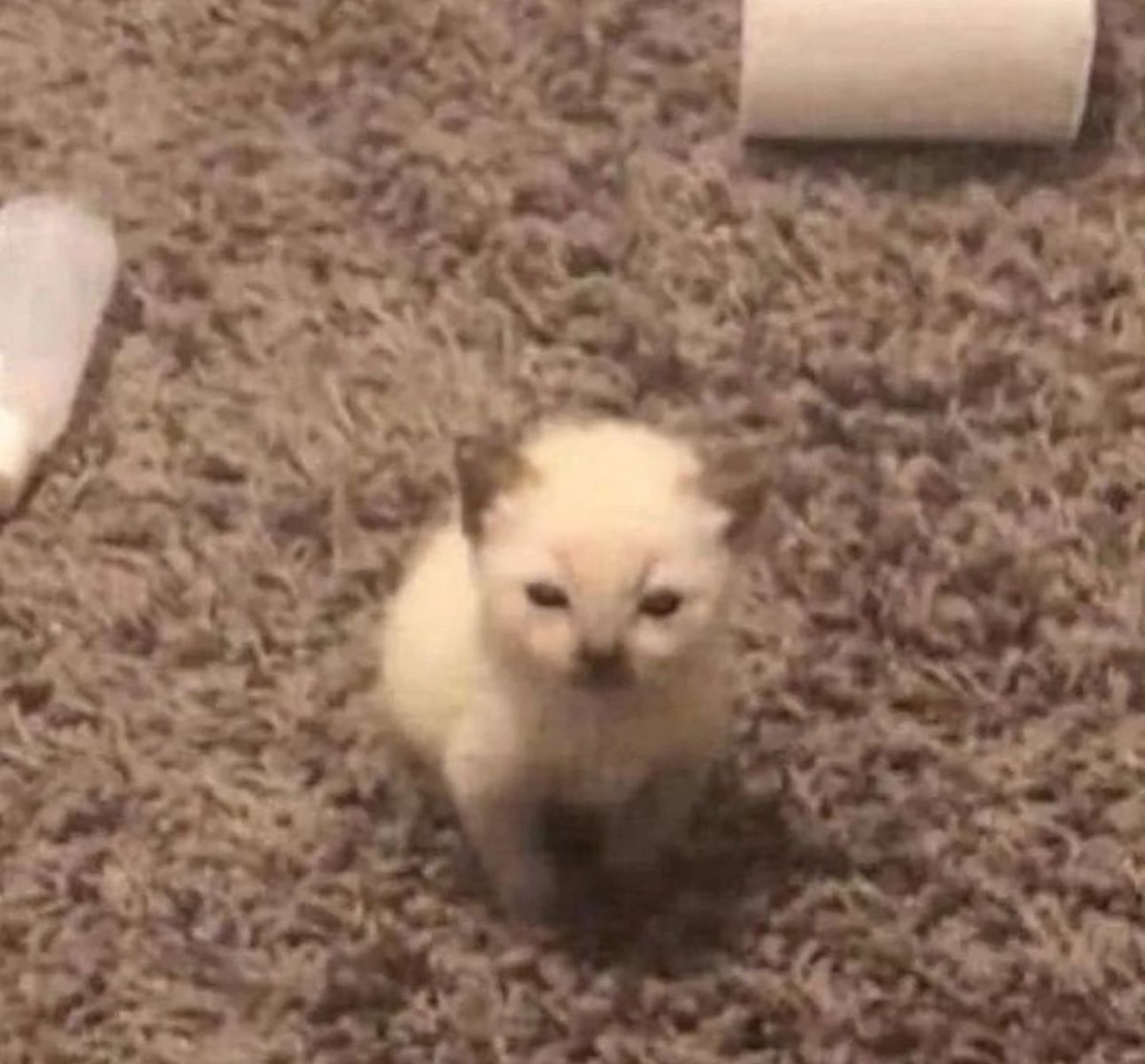 this is me in case anyone cares