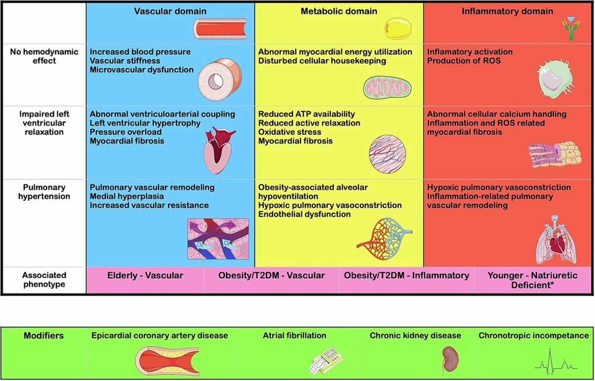 Tolga Sinan Güvenç (@tolgamd) on Twitter photo Revisiting the pathophysiology of HFpEF with some novel ideas... sciencedirect.com/science/articl… <a href="/cardioceptor/">Mehmet Birhan YILMAZ 🇹🇷</a> <a href="/mdlaledinc/">laledincasarcikli</a> <a href="/drheartfailure/">Ahmet Celik</a> <a href="/TKDsosyal/">Turkish Society of Cardiology</a> @ELS_Cardiology #HeartFailure Revisiting the pathophysiology of HFpEF with some novel ideas... sciencedirect.com/science/articl… <a href="/cardioceptor/">Mehmet Birhan YILMAZ 🇹🇷</a> <a href="/mdlaledinc/">laledincasarcikli</a> <a href="/drheartfailure/">Ahmet Celik</a> <a href="/TKDsosyal/">Turkish Society of Cardiology</a> @ELS_Cardiology #HeartFailure