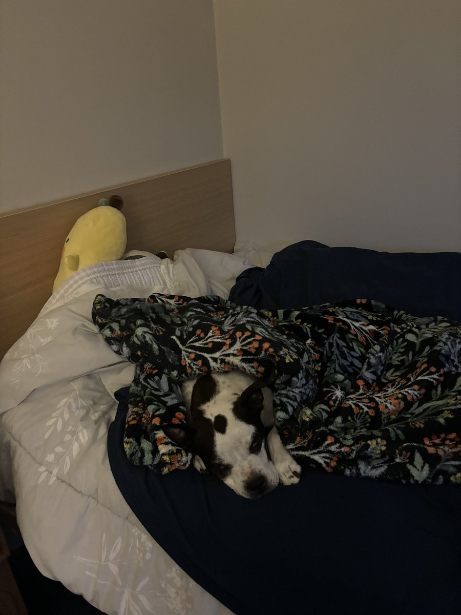 Irene 👹 tweet media