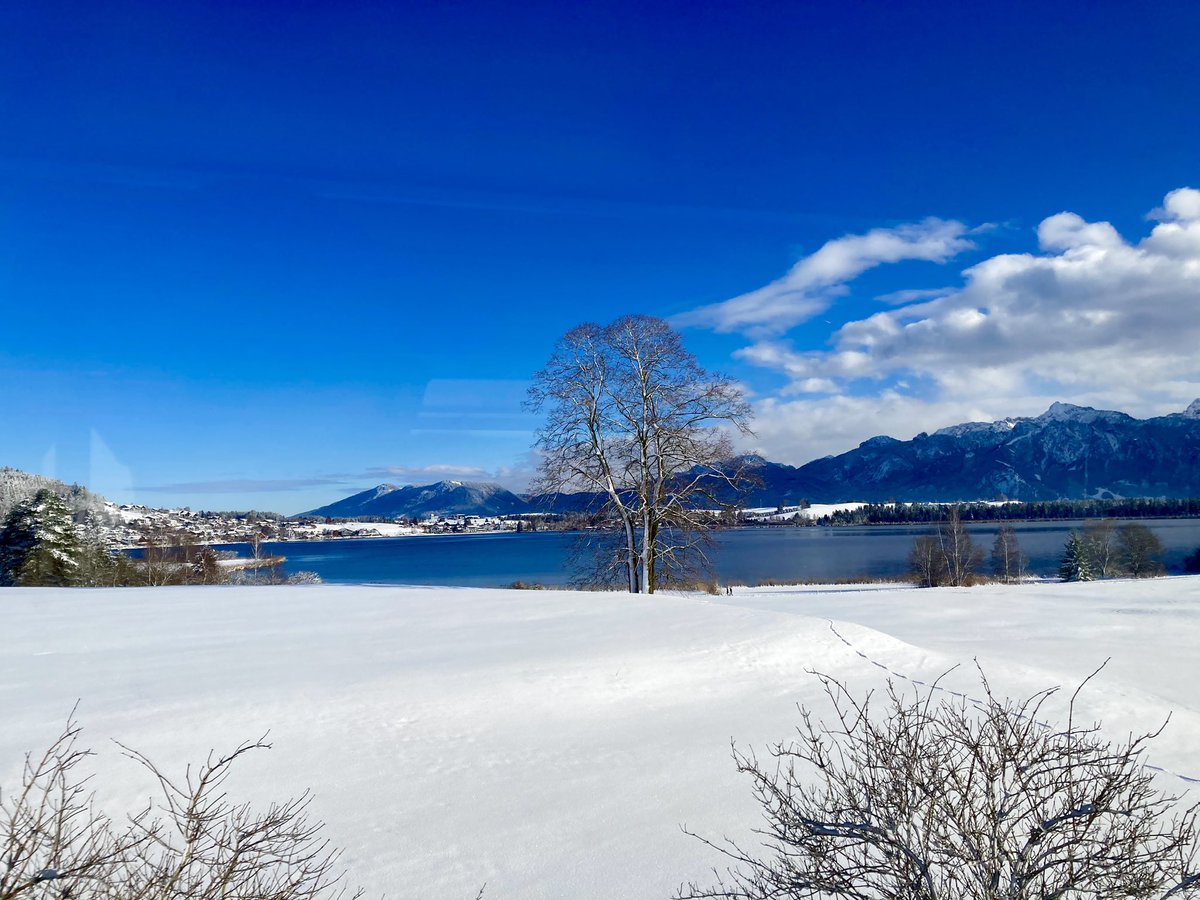 ben89661370's tweet image. I need some blue sky today