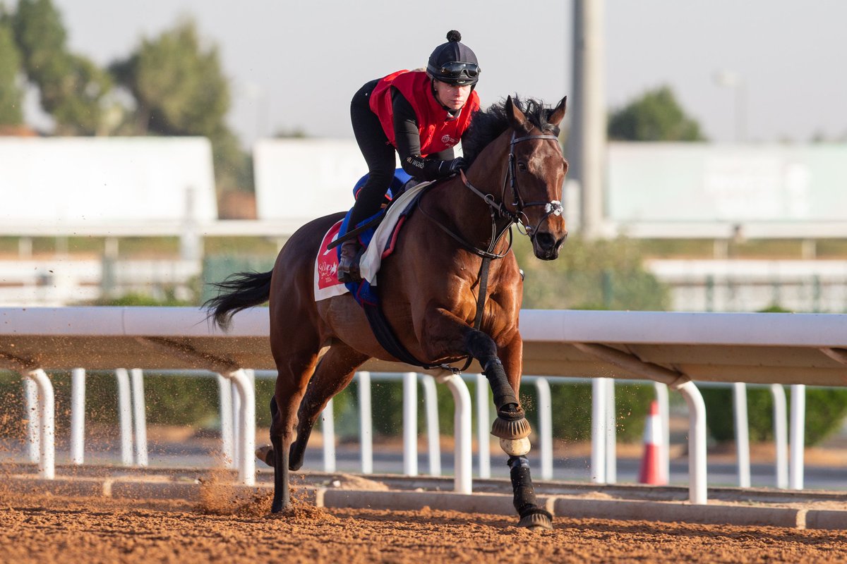 ianwilliamsraci's tweet photo. 🇸🇦 Enemy for Caroline Lyons and Tracey Bell looks to go one better than a year ago in the US$2.5m @Longines Red Sea Turf Handicap @thesaudicup under @RKingscote - his prep has gone smoothly, so just hope stall 14 isn't an issue 🤞🇬🇧 🏆 

👉 https://t.co/e4dFEQurou https://t.co/BhCFssbYPD