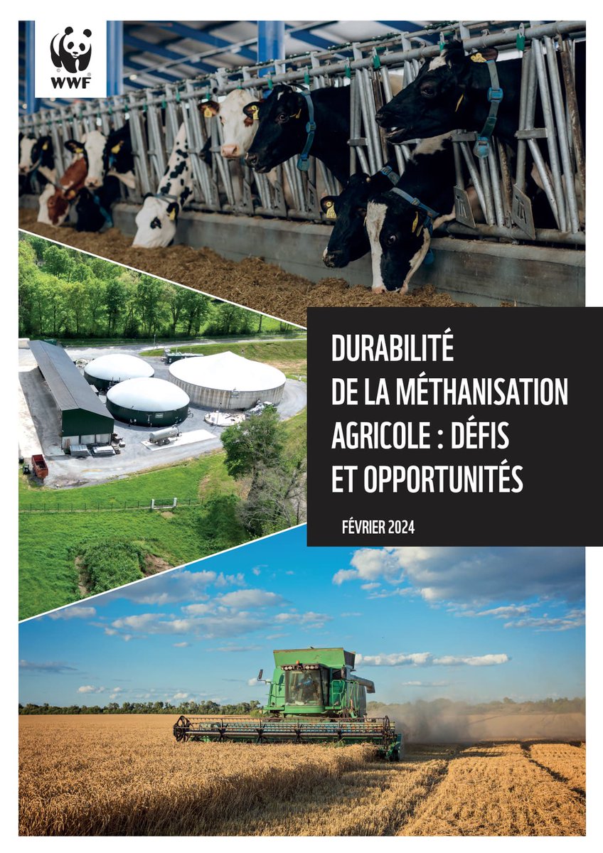 4 ans après un 1er rapport qui posait les bases de la durabilité de la #méthanisation agricole, <a href="/WWFFrance/">WWF France 🐼</a> publie, avec #GRDF, une nouvelle étude, un état des lieux critique de l'évolution de cette filière stratégique au cours des dernières années. 
👉🏻 cutt.ly/2wNo6sFt