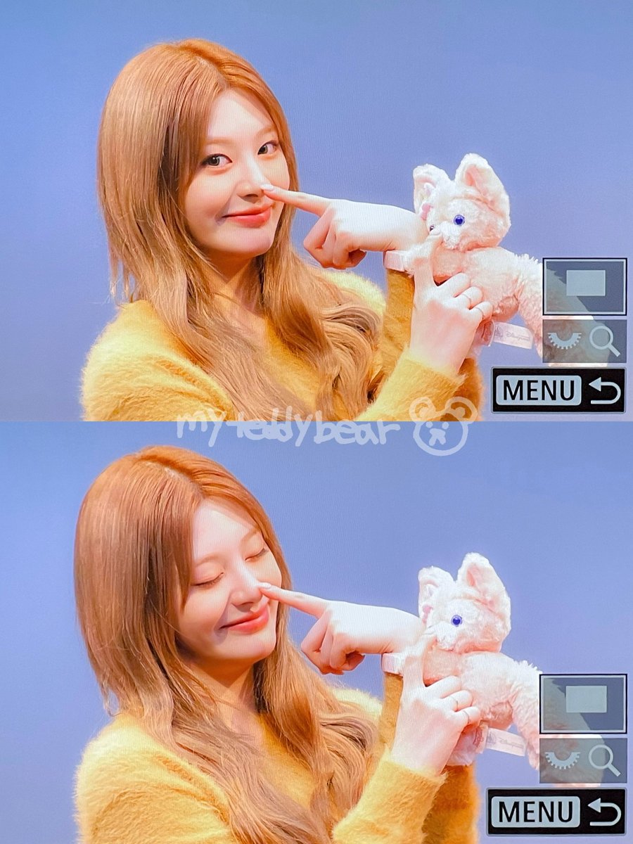 myteddybear tweet media