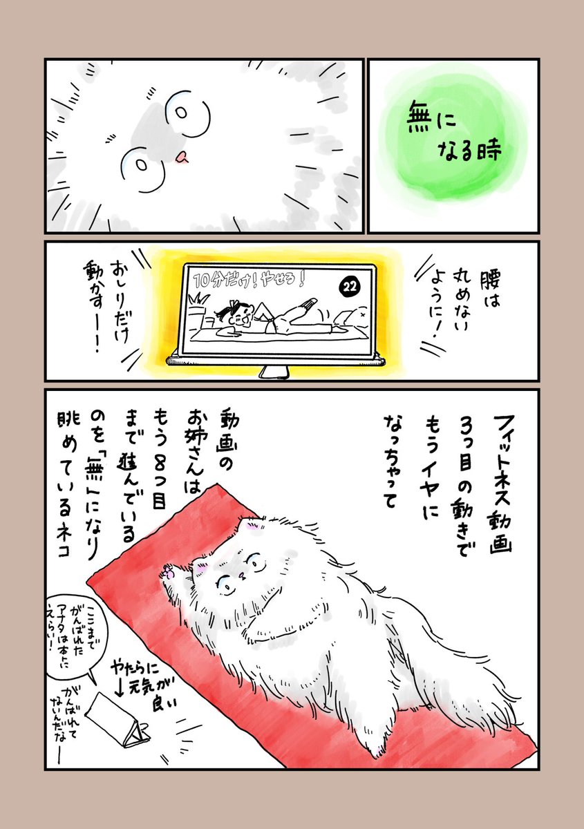 無になるネコ 