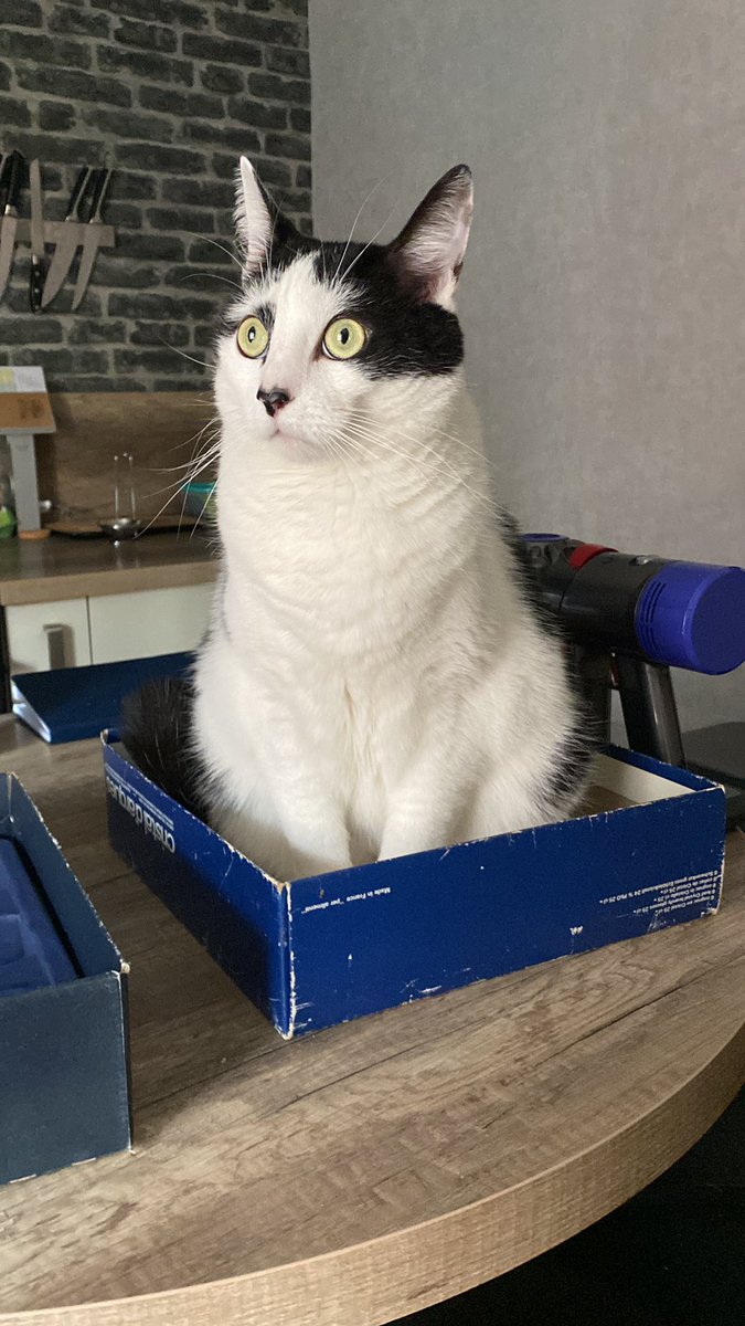 Groscar2's tweet image. J’ai trouvé une boîte.