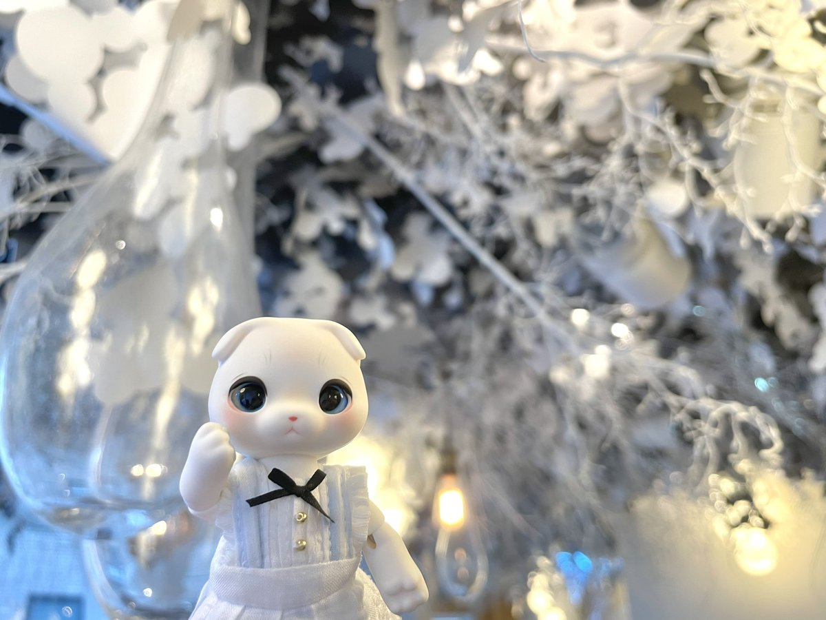 dollsk05's tweet photo. 今日のお供はmocoちゃん⛄️
#cocoriang #treebynaked https://t.co/ov70Unh5ck