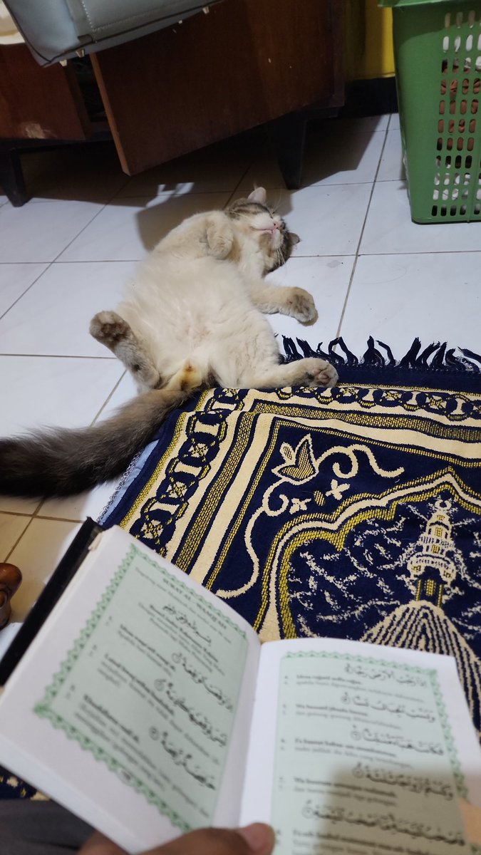 deslinggaWP's tweet photo. Sayang bgt kl ga di post 🤣🤣🤣 https://t.co/oneWkwivGk