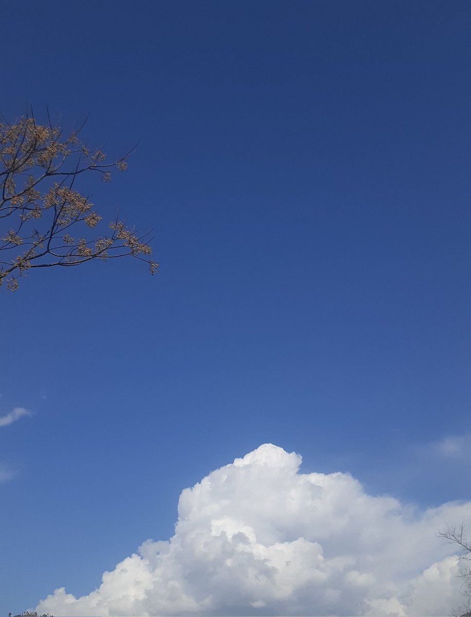 Kashuf Batool tweet media