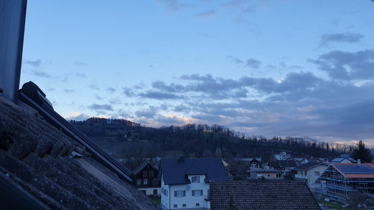 Denise Weber ♜ ♫ tweet media