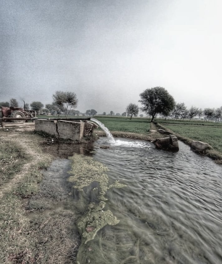 تیری ونڈ توں مالکاں جا صدقے
پئیاں کرم کرنا اے سچیاں کوڑیاں تے