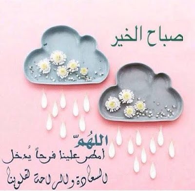 umabdullah9901's tweet photo. https://t.co/aZCWRh9IJM