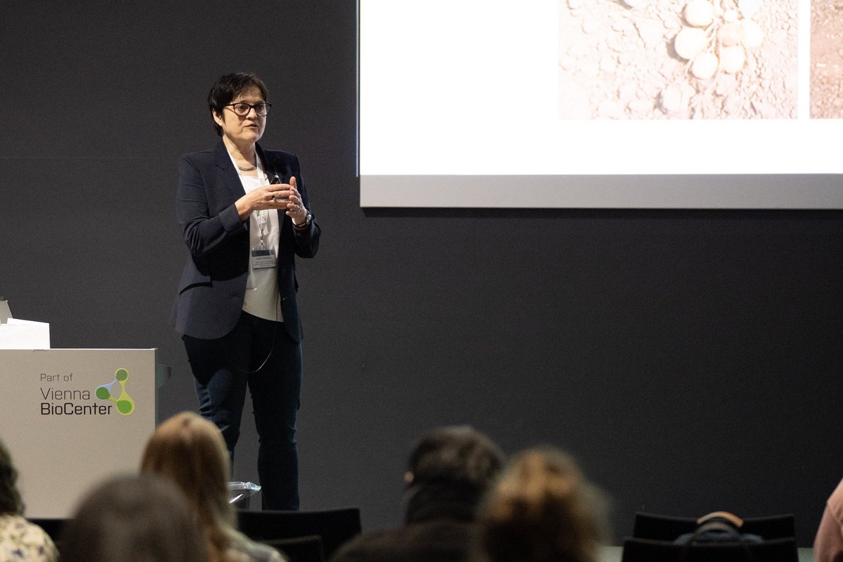 Student Conference of Plant Biology 2024 tweet media