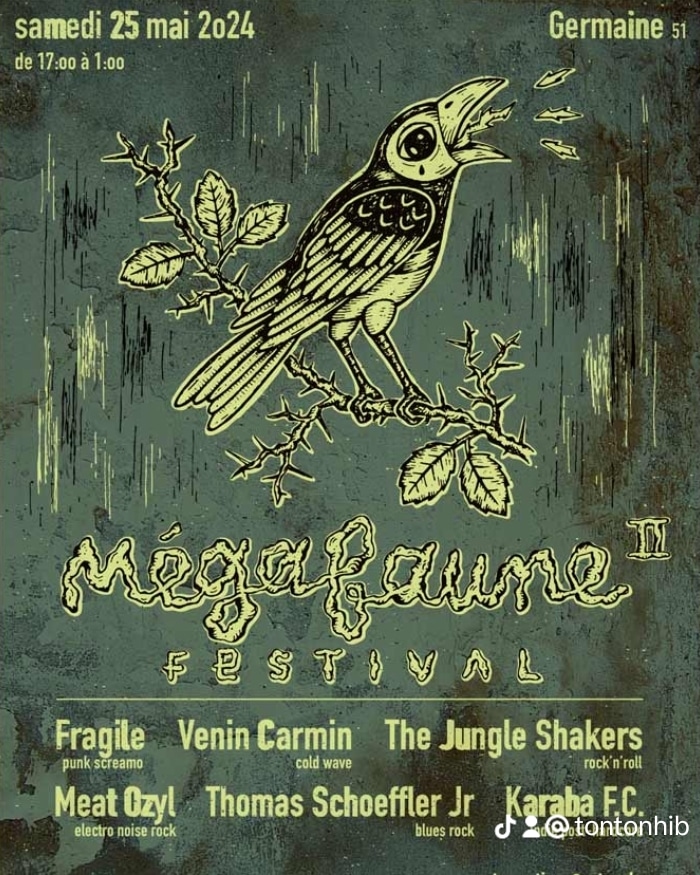 Festival Rock - à Germaine le samedi 25 mai 2024 - MEGAFAUNE II