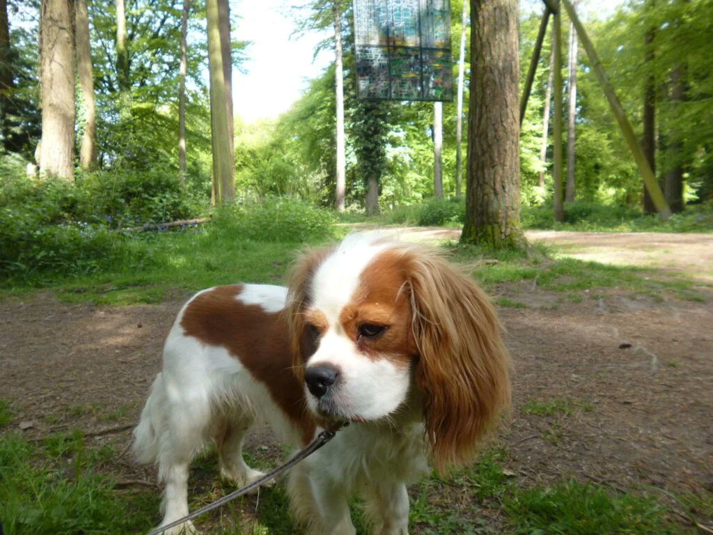 RJonTourUK tweet media