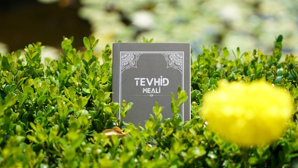 Tevhid Meali tweet media