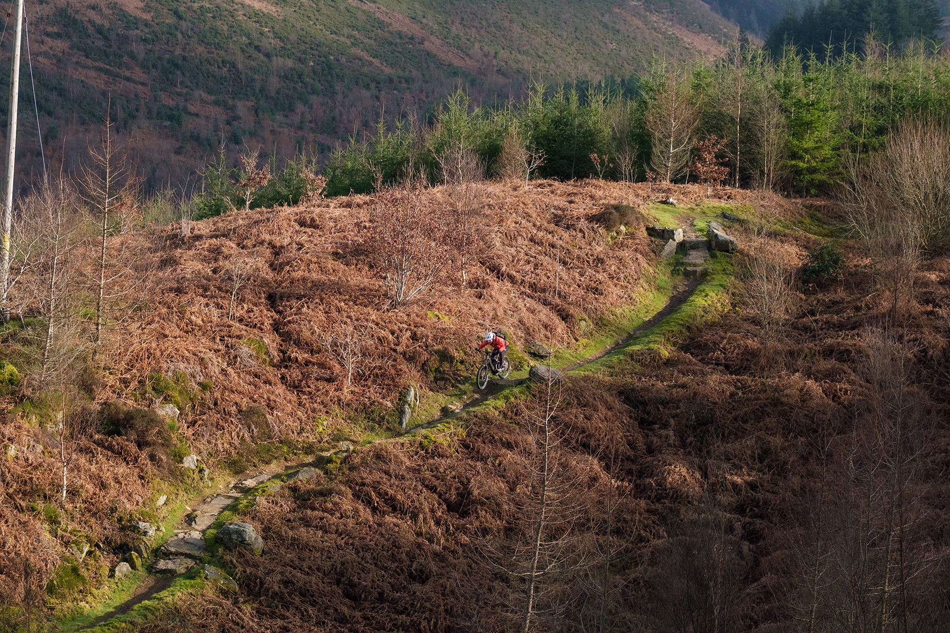 Penhydd trail hotsell