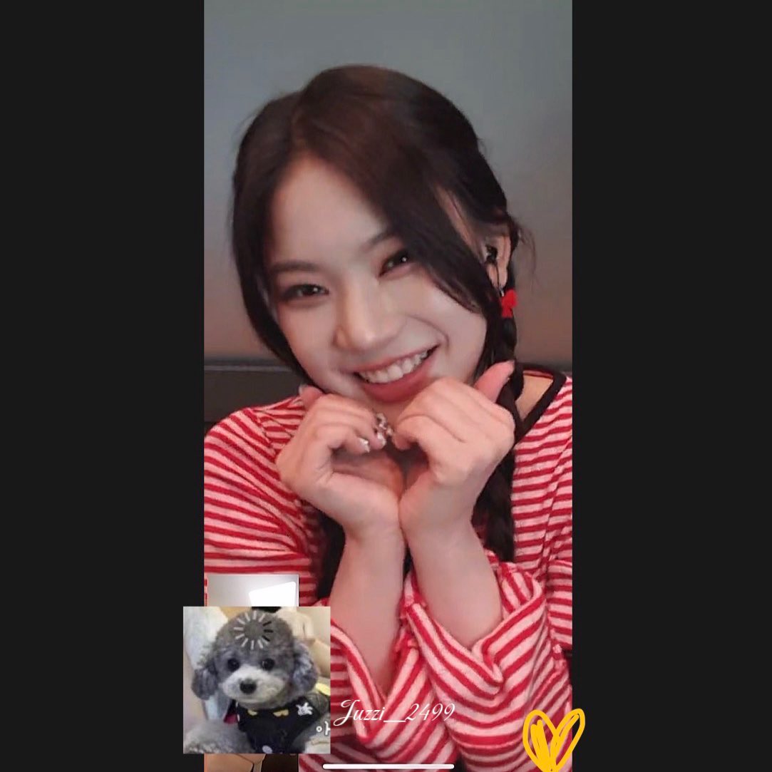양양🐾 tweet media