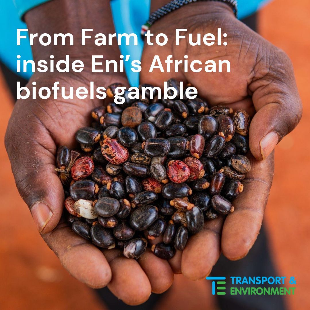 transenv's tweet photo. UNCOVERED: Italian oil giant Eni’s African biofuels gamble is falling short.

Investigation into its most advanced projects shows it is failing to produce crops at scale notably due to poor yields, drought and low buying prices.

Read the story ➡️
https://t.co/M2RgnTJkPi https://t.co/5xIzLON0Fz