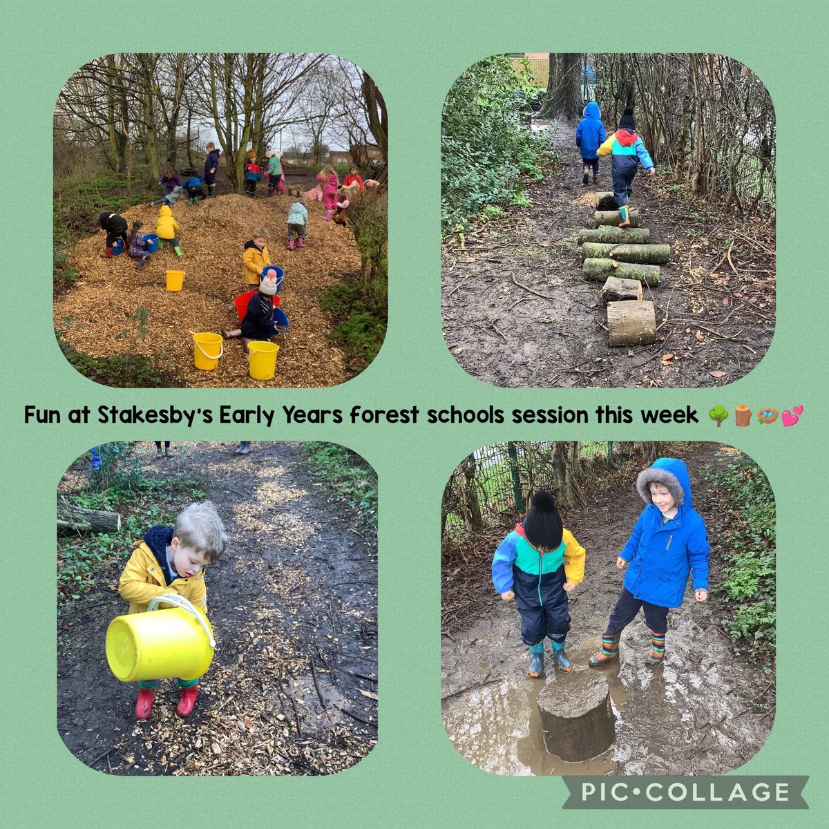 Our children have enjoyed exploring the seasonal changes in our school forest. 
<a href="/StakesbyAcademy/">Stakesby School</a> <a href="/EarlySpa/">Stakesby School Early Years</a>