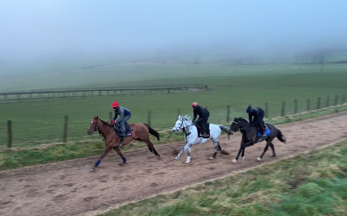 GOLD DES BOIS, RAVENSCRAIG CASTLE & THEATRE CHIEF in unison this morning under Dom, Iain & @CoFarrell20