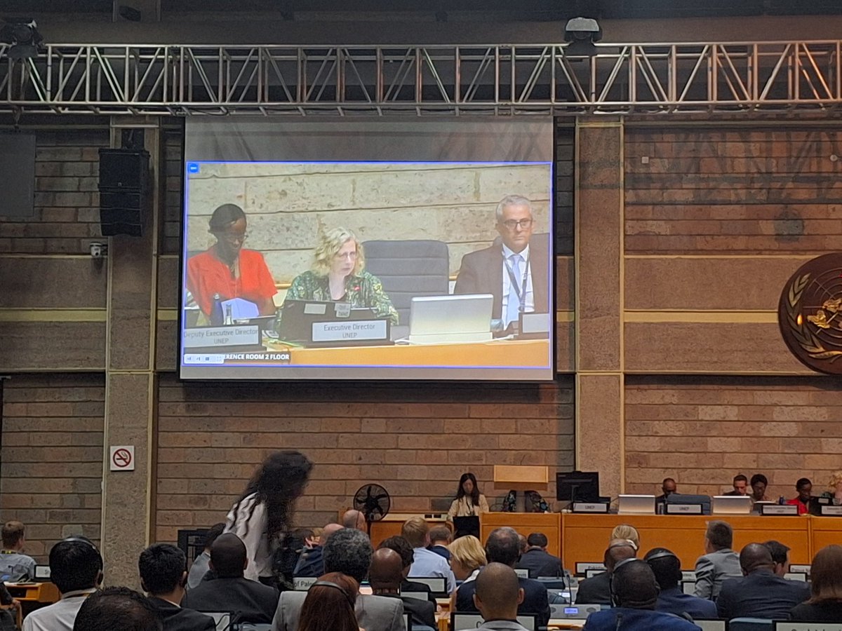CYNESA's tweet photo. The E.D of @UNEP @andersen_inger gave her closing remark at the closing of the #OECPR6 - the sixth meeting of the open-ended committee of permanent representatives encouraging member states to press on while discussing resolutions that will impact generations to come.
@cymgunep https://t.co/msGtwD26Pi