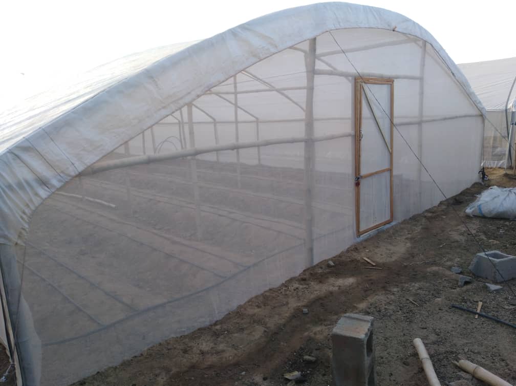 You can farm almost everything you want that is vegetable using your screenhouse which was now a cost effective and easy to manage.

You can build a sound business using vegetables products and it is very simple for you to rise above your current income and profit line.