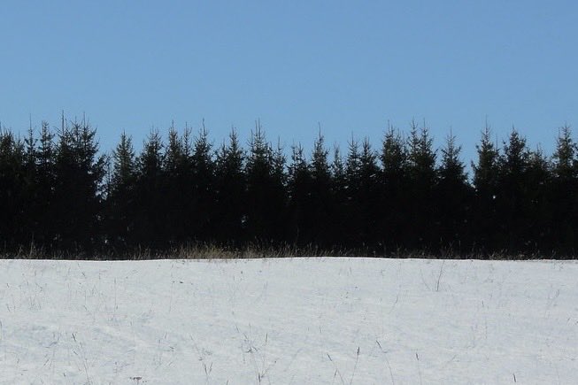 sakkov's tweet image. 106!