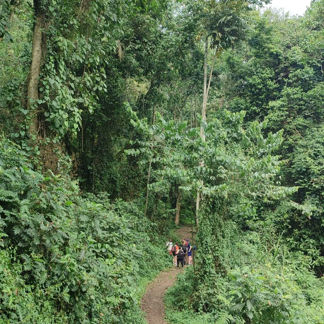 Preparing for a 02days nature walk to lake mahoma 3,000 metres in the Rwenzori Mountains.
We organise customised treks to the mountains ranging from 01 Day, 02 days, 03 days, 04days, 06days, 07days, 08days,
Get in touch on WhatsApp+256704055209 or email balukuexevia@gmail.com