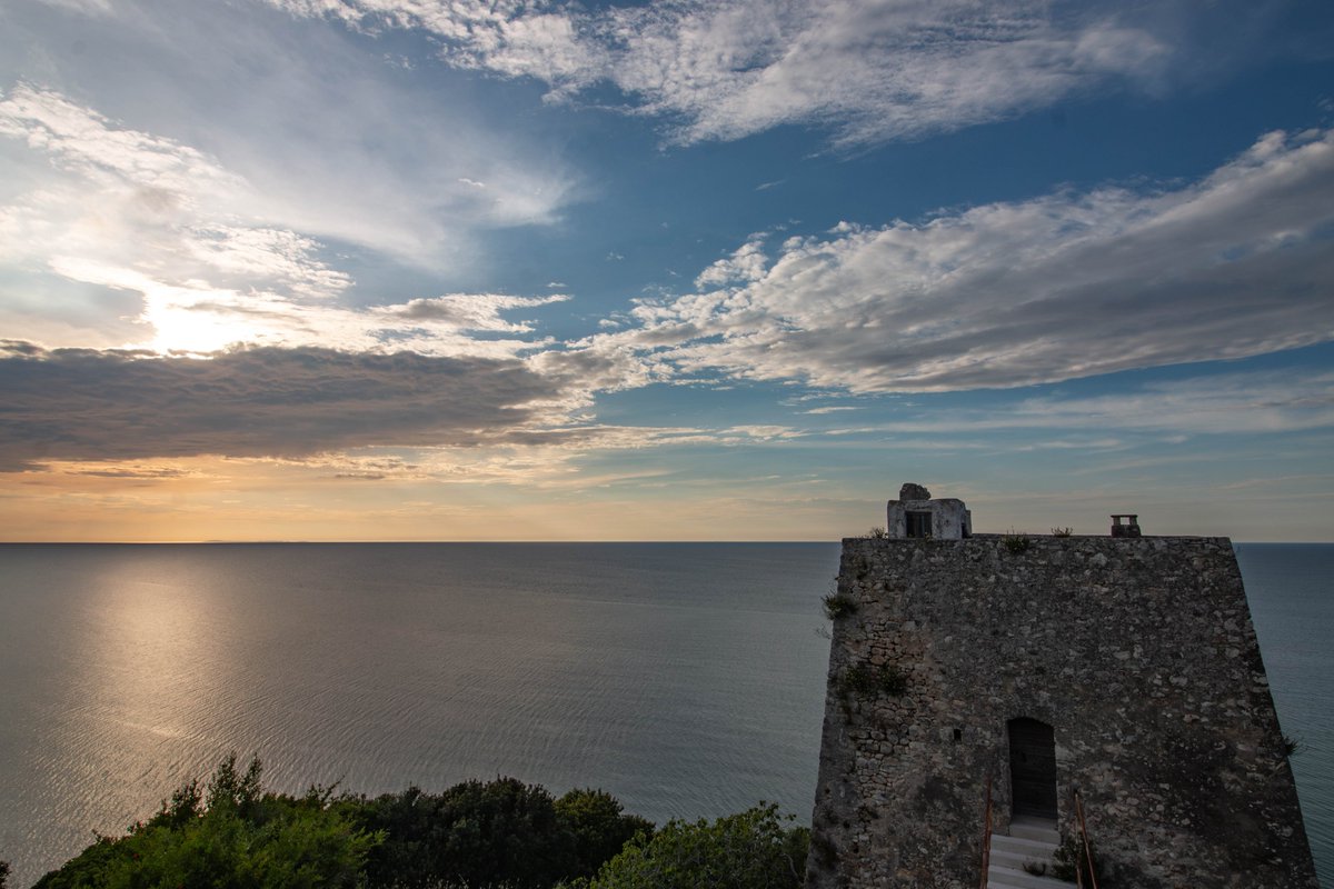 Adrian Golemis tweet media