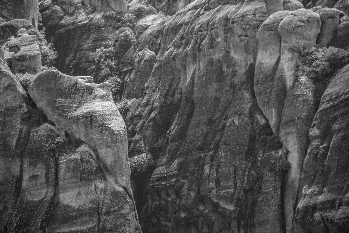 Adrian Golemis tweet media