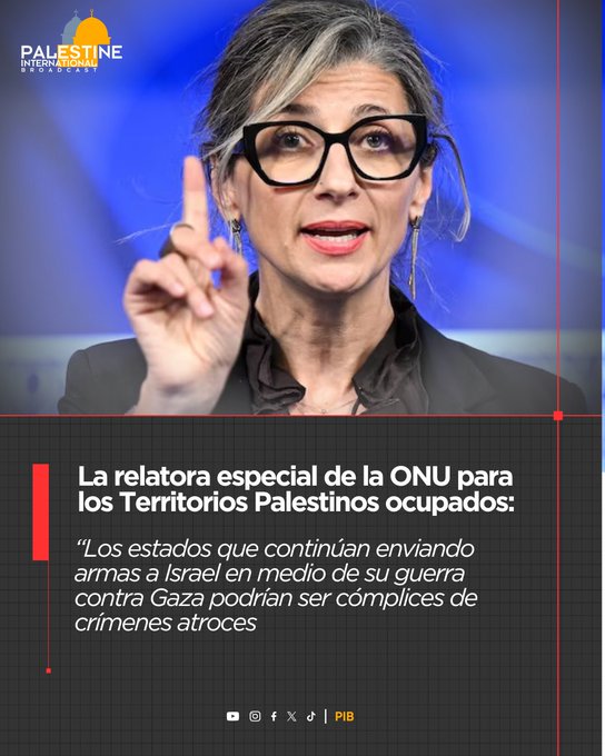 Irudia