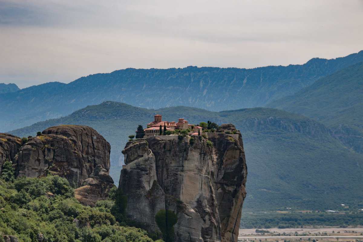 Adrian Golemis tweet media