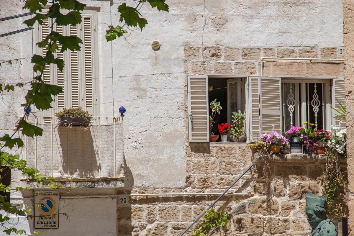 Adrian Golemis tweet media