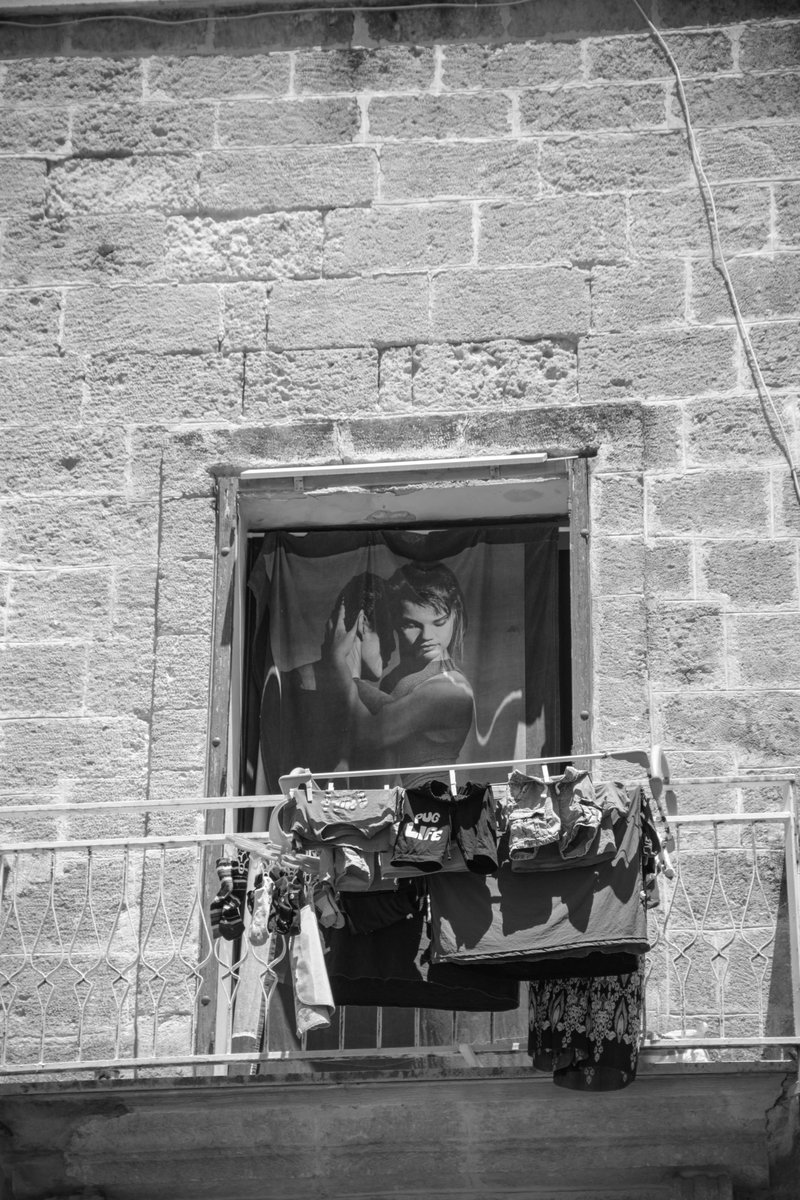 Adrian Golemis tweet media