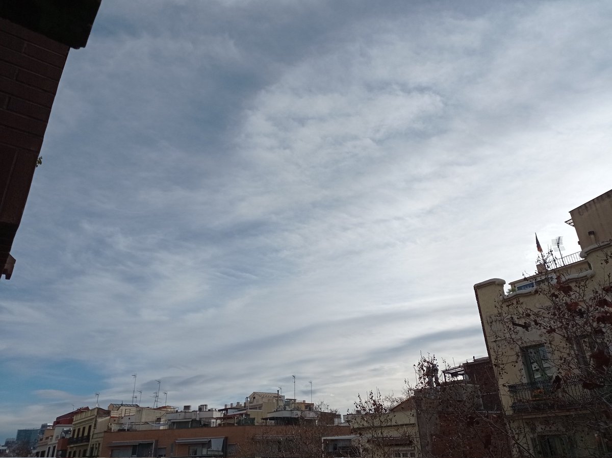 Toni Ramon Pérez tweet media