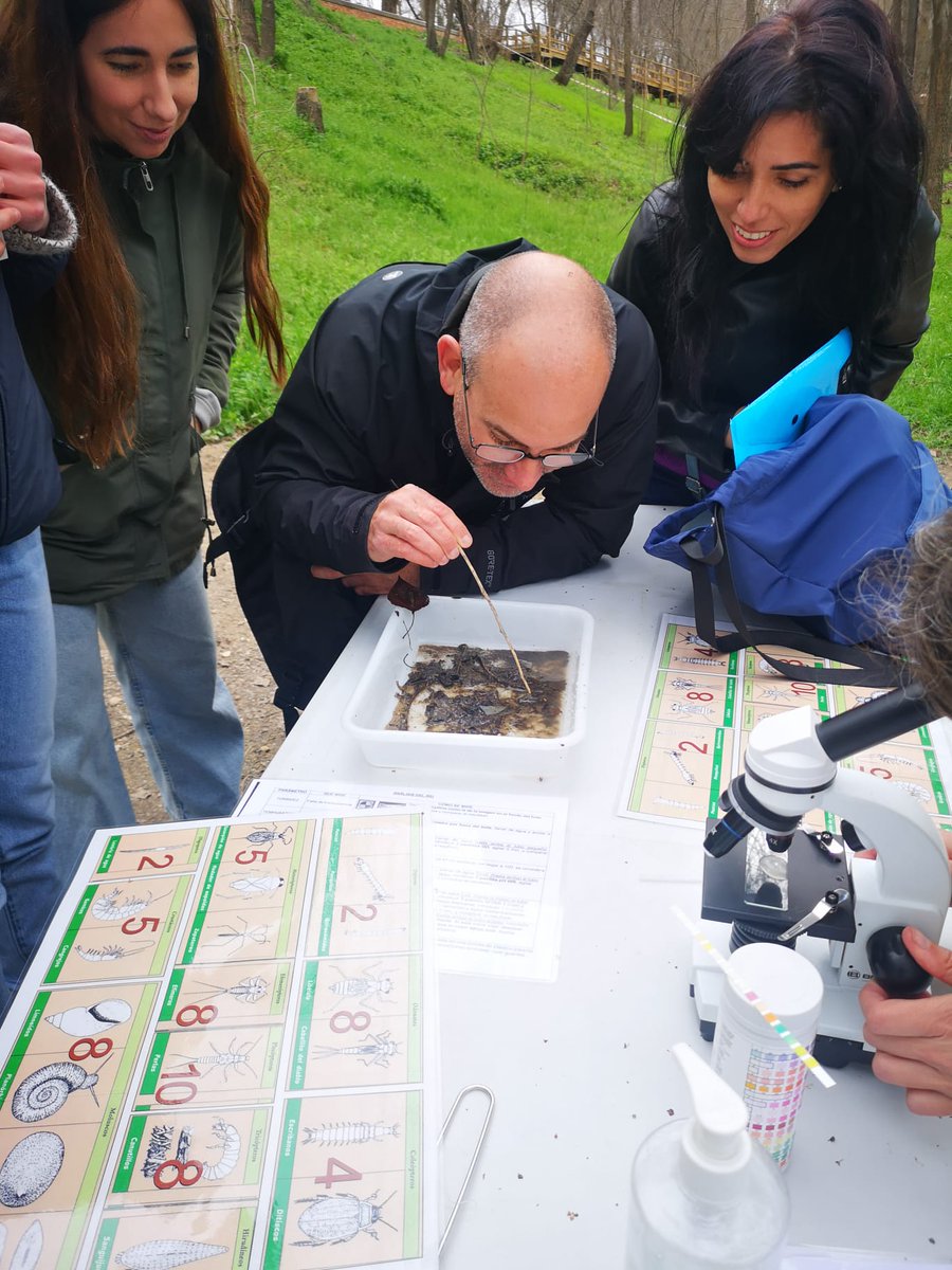Taller de #microplásticos en el #ríoManzanares. Fue todo un éxito!! Muchas gracias a #ecusearth por darnos de la oportunidad y a todos los voluntari@s por vuestra asistencia y compañía, fue todo un placer!! 🌿💚 #environment #PaisajeLimpio #eLitter #respetatuentorno