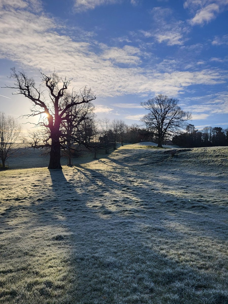 Another frosty image from the parkland at Pitchford Hall with the old oaks and the original drive to the Hall rising on the far right #ShropshireHills #HistoricHouse