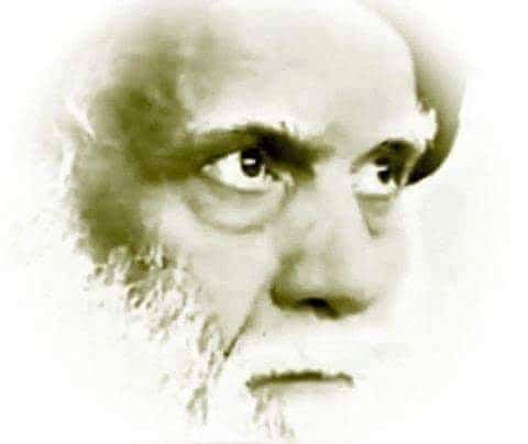 اللهم العن صنمي قريش وجبتيها وطاغوتيها والعن إبنتيهما حتى ترضى مولاتي فاطمة سلام الله تعالى عليها .