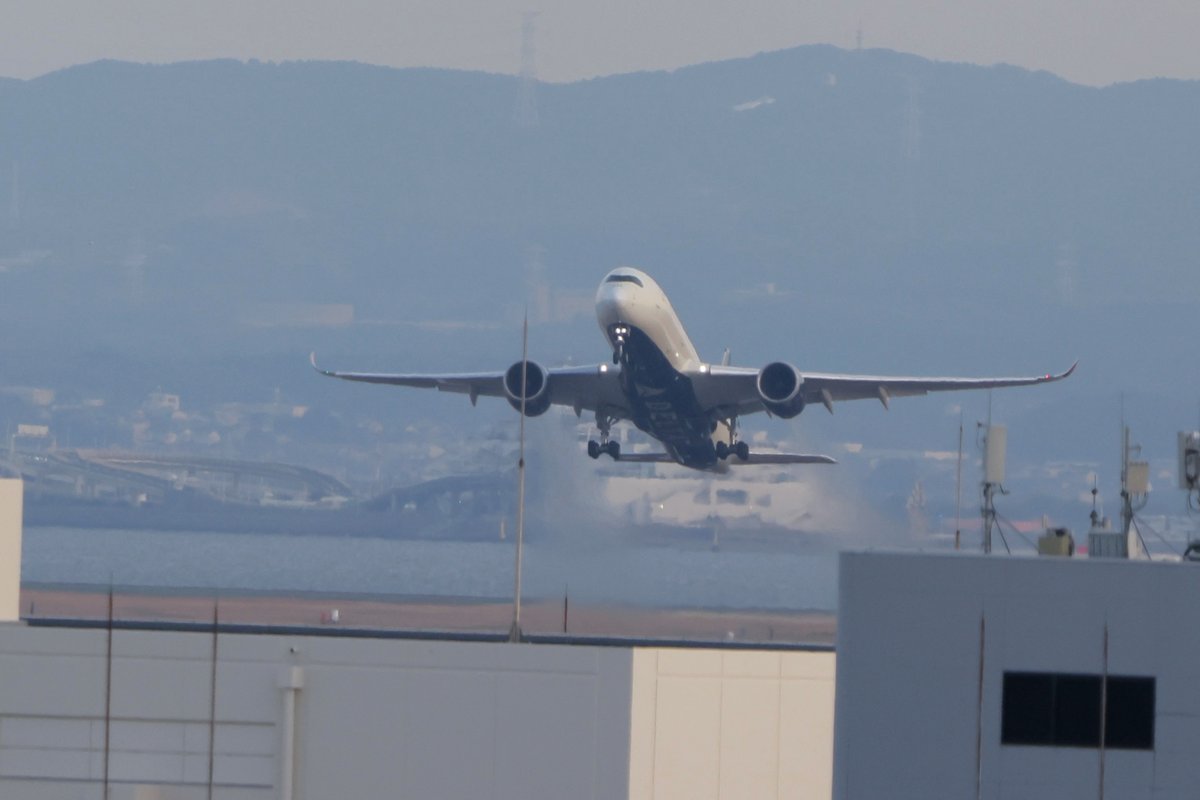 princessarete's tweet photo. 夕方は陽炎みたいなのも収まって
淡い日差しも相まって盛れる☺️
Delta Air Lines
#N505DN https://t.co/L1CflDEBod