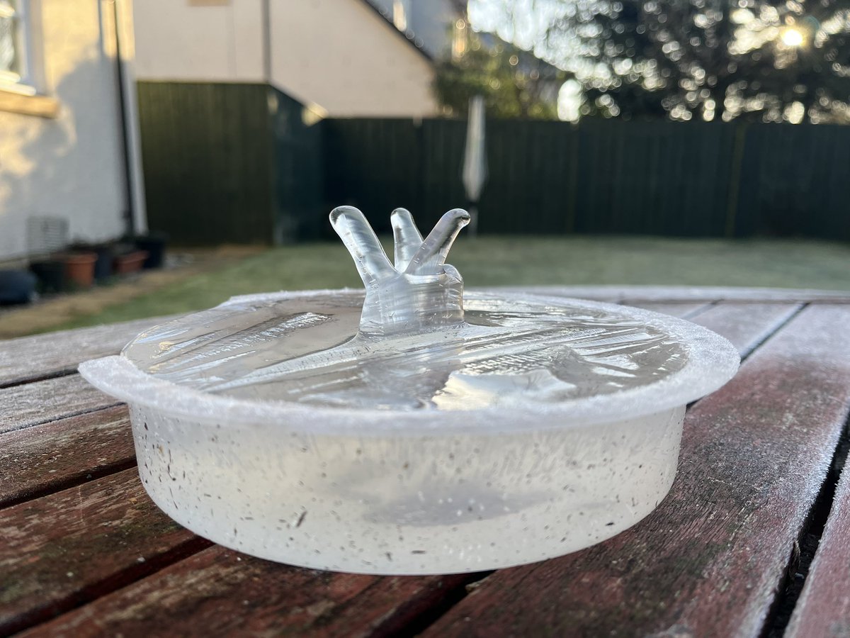 How on earth did my bird water freeze like this overnight ?