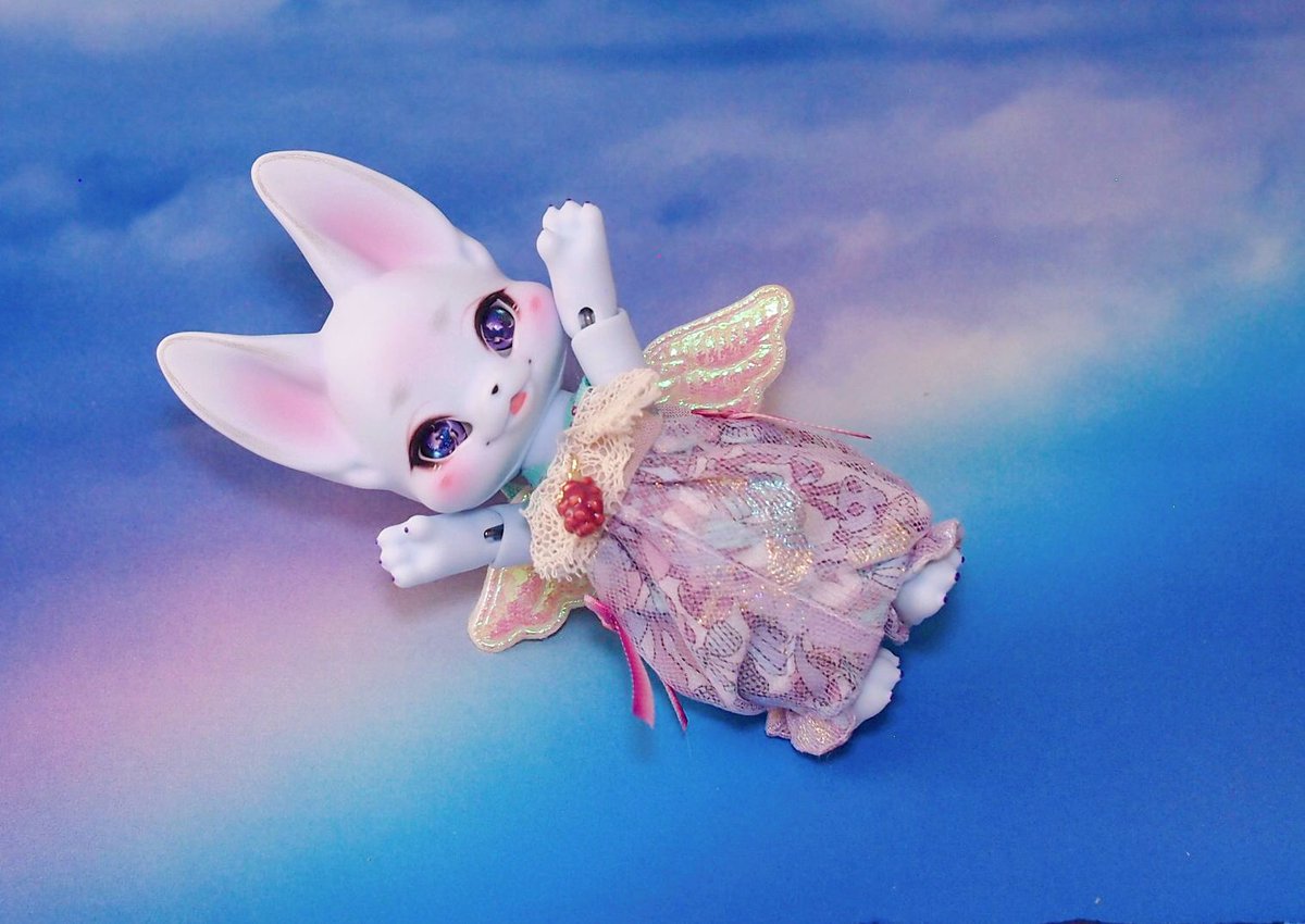 11月の個展でお迎えしたPale Violet kumukuku pale violet kiri Kiri 
