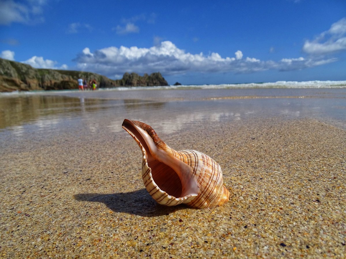 🌊🩷🌊

<a href="/weloveourbeach/">We love our beach</a> @beauty_cornwall <a href="/ITVCharlieP/">Charlie Powell</a> <a href="/itvwestcountry/">ITV News West Country</a> <a href="/ChrisPage90/">Chris Page - Weatherman</a> @davidwhiteshow <a href="/SunsetSnaps/">Sunset Snaps</a> <a href="/CornishEscapes_/">Cornish Escapes</a> <a href="/PirateFM/">Pirate</a> <a href="/KWTWeather/">Kernow Weather Team</a> @Weather4Kernow <a href="/bbcweather/">BBC Weather</a> <a href="/Penryn_holidays/">Driftwood_Penryn_Cornwall</a> <a href="/CornwallLodges/">Cornwall Holidays</a> <a href="/CornwallLifeMag/">Cornwall Life</a>